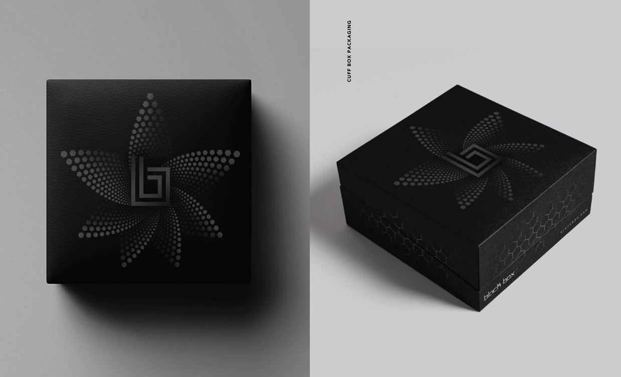 Black Box Designs