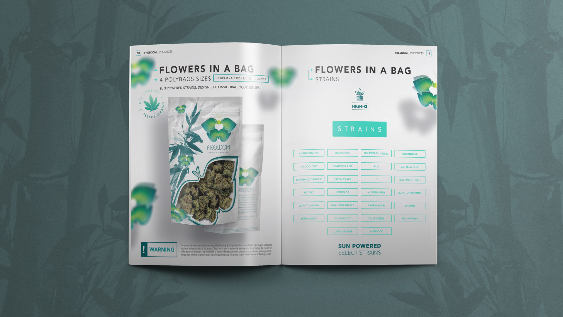Flowers in a Bag, Magazine